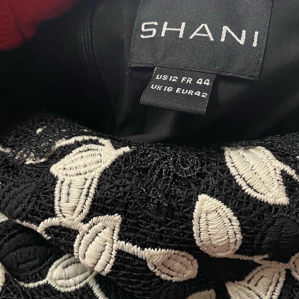 Shani Elegant Black White Lace Dress, Size 12, Knee Length, Fully Lined. - Picture 4 of 16